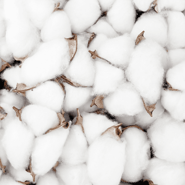 Cotton